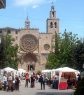 Imatge de complement