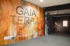 Foto de la Galeria