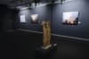 Foto de la Galeria